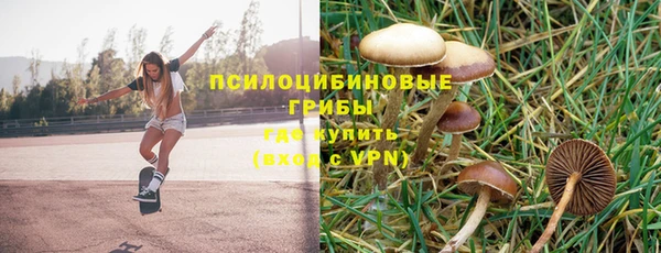 экстази Алексеевка