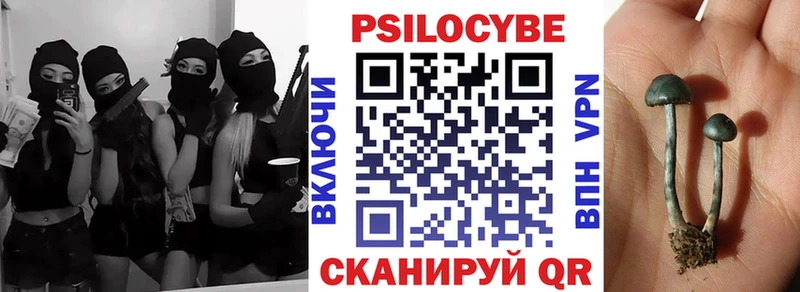 shop состав  Арамиль  Галлюциногенные грибы Psilocybine cubensis 